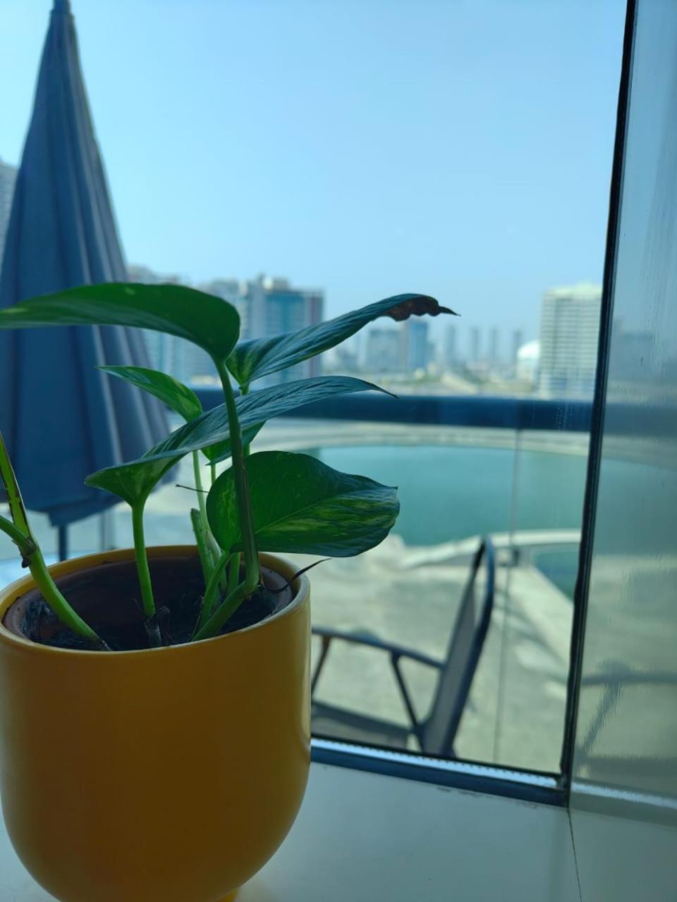 Studio In The Heart Of Sports City -Great View & Amenities! Dubai Exteriör bild